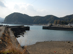 鎌田港